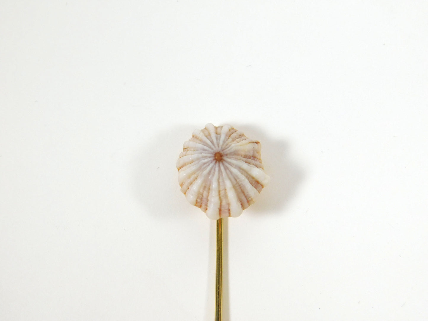 Vintage Sea Shell Hat Stick Pin