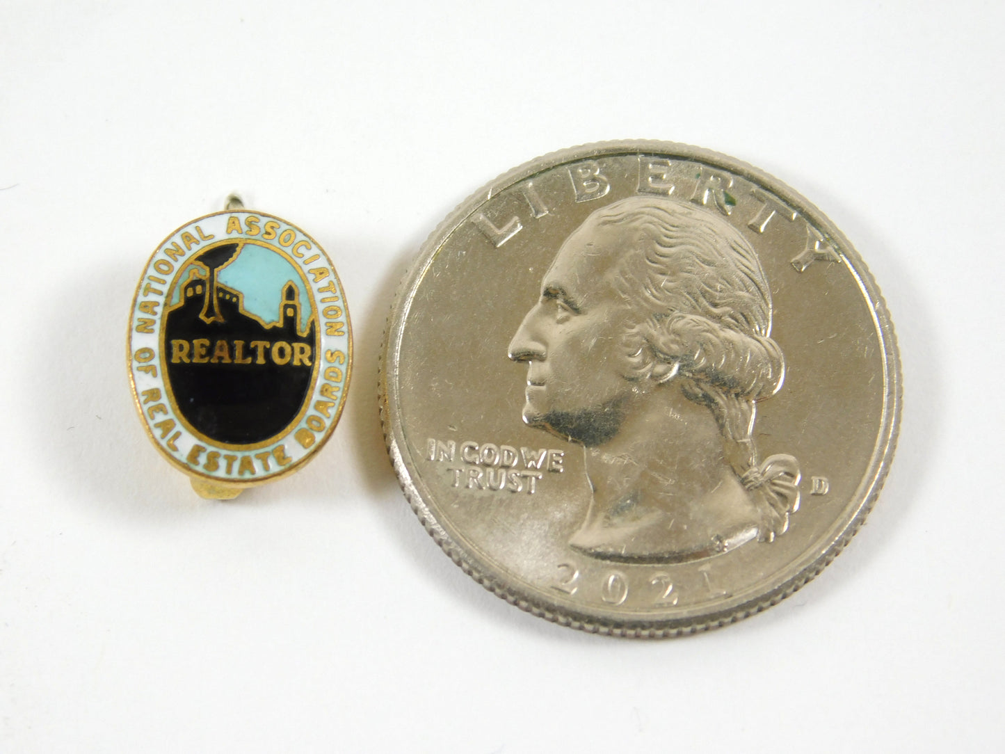 Gold Tone National Association of Real Estate Boards Lapel Pin