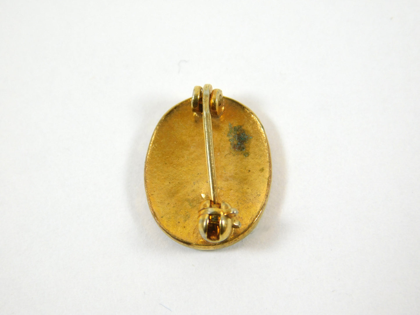 Gold Tone National Association of Real Estate Boards Lapel Pin