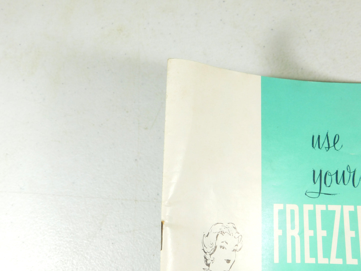 Vintage 1959 Use Your Freezer Every Day Dow Chemical Company Book