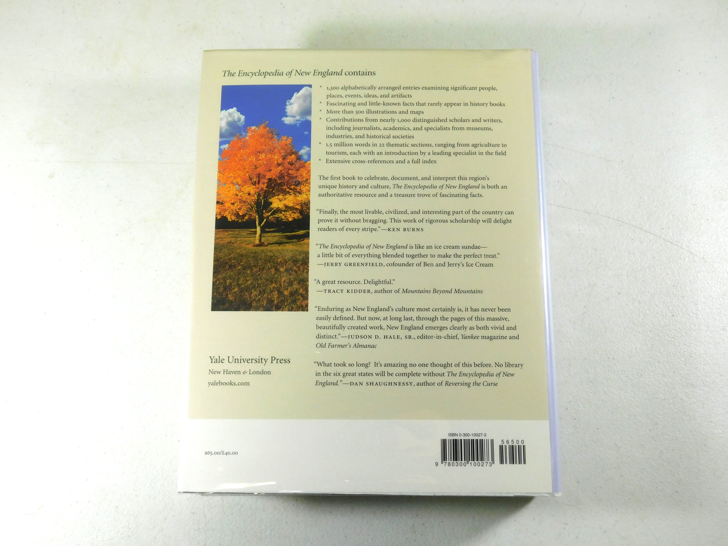 The Encyclopedia of New England by Burt Feintuch & David H. Watters