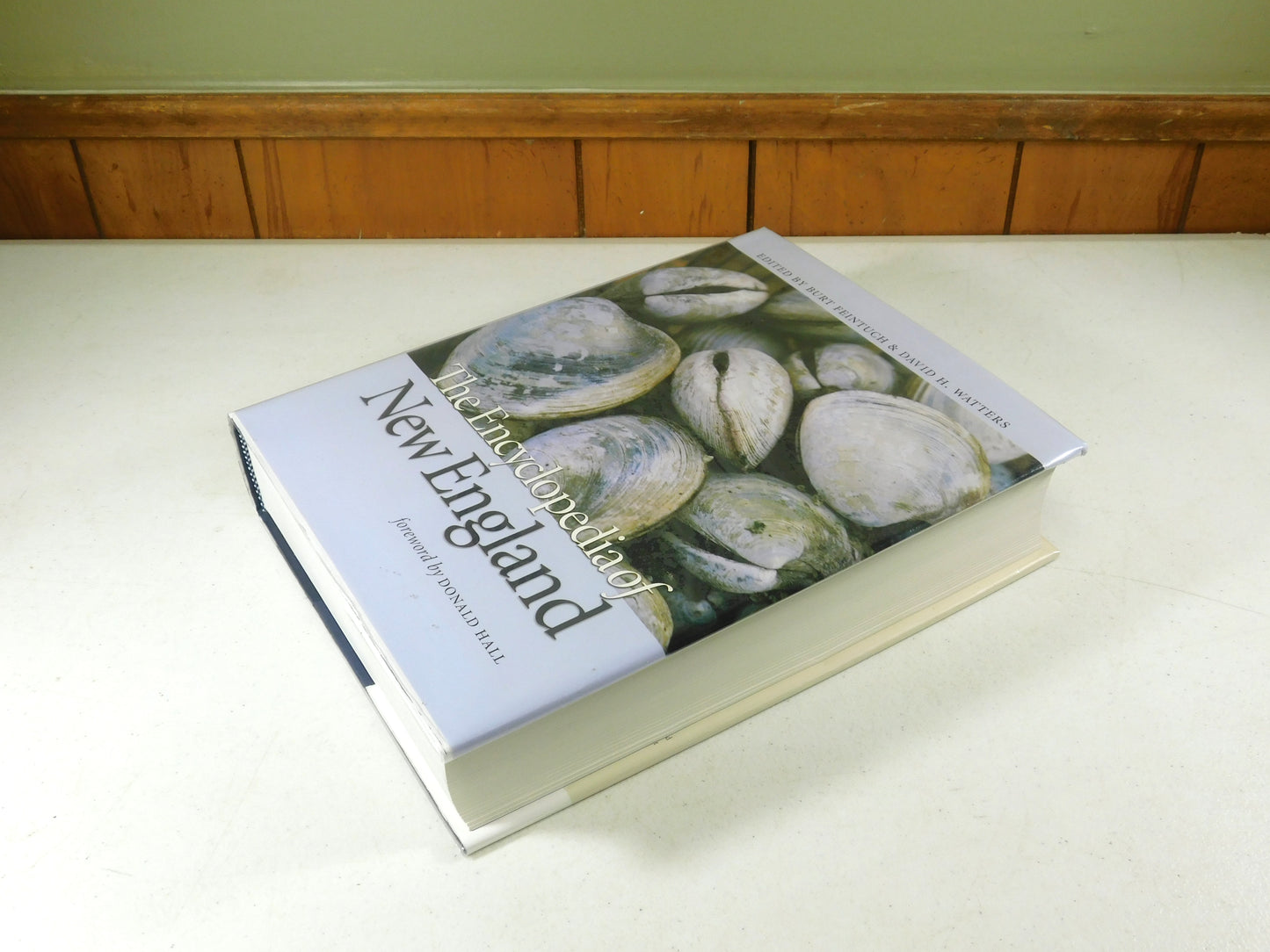 The Encyclopedia of New England by Burt Feintuch & David H. Watters