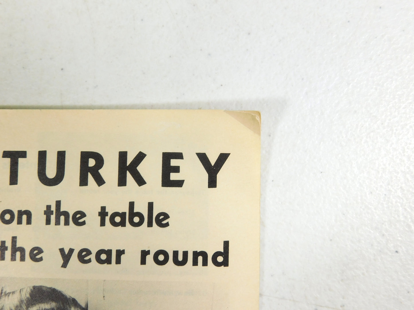 Vintage 1954 Turkey On The Table The Year Round Home and Garden Bulletin No. 45