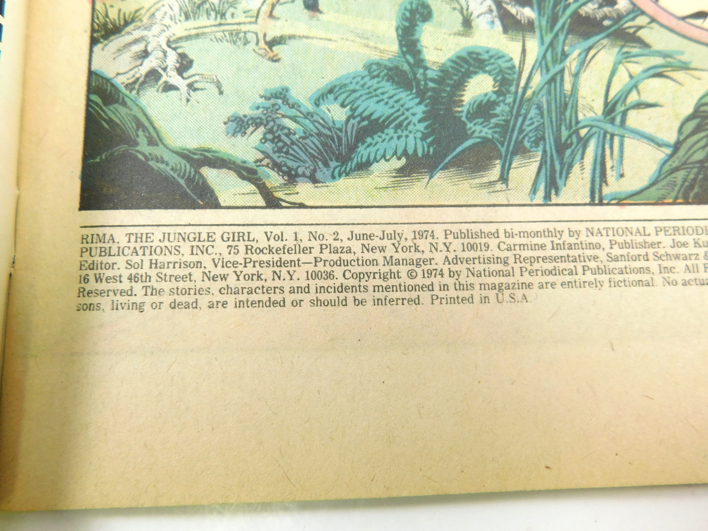 Vintage 1974 DC Rima the Jungle Girl "Flight From Eden!" Comic Book No. 2 July