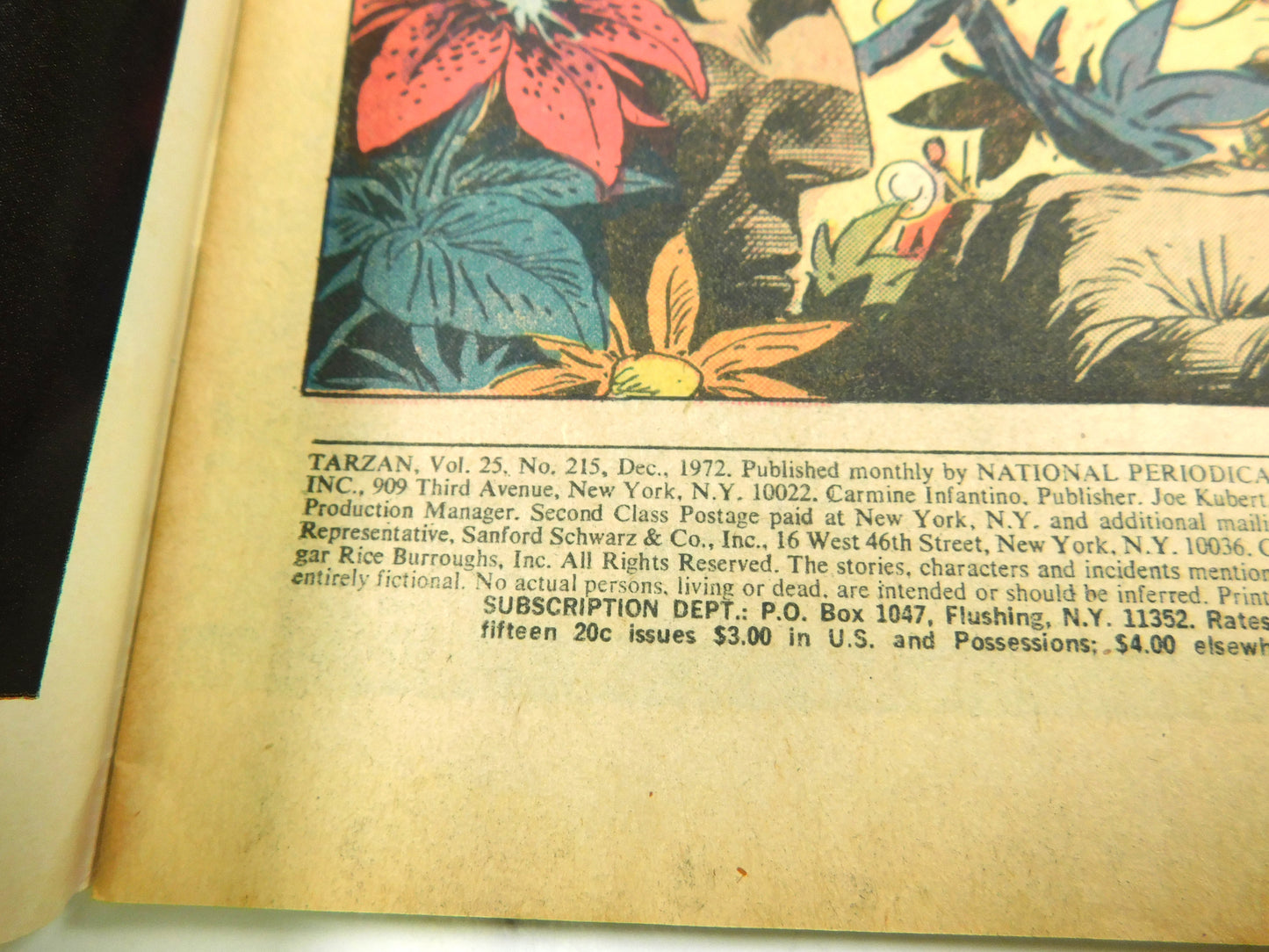 Vintage 1972 Tarzan The Apeman Enters The Mine of Hell! No. 215 DC Comic Book