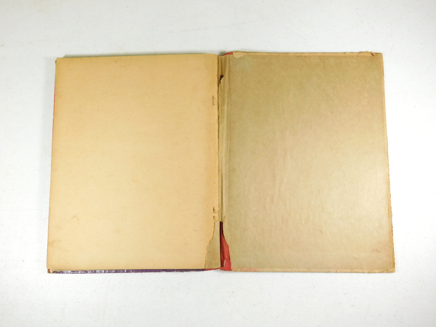 Vintage Young American Speaker Book No. 183 M.A. Donohue & Co.