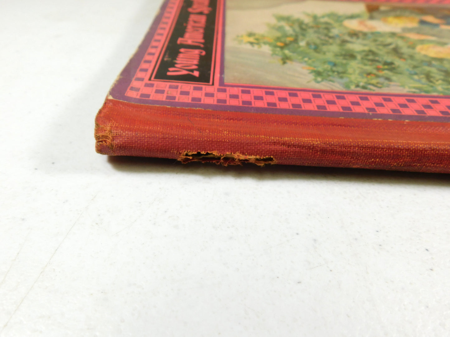 Vintage Young American Speaker Book No. 183 M.A. Donohue & Co.