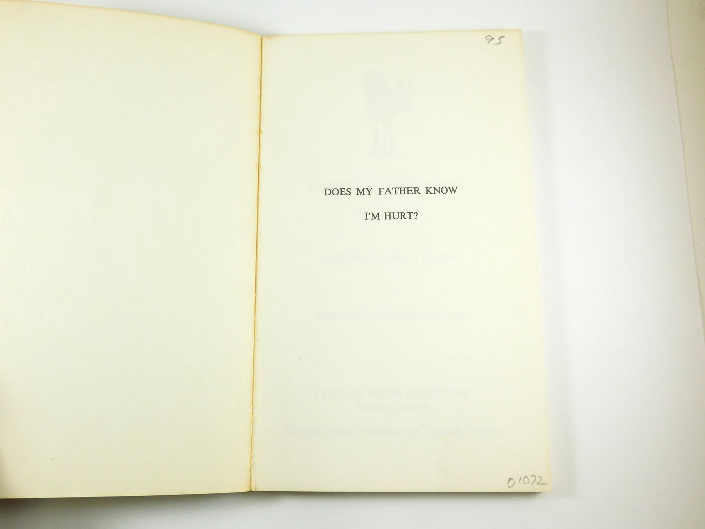 Does My Father Know I'm Hurt? by David John Seel