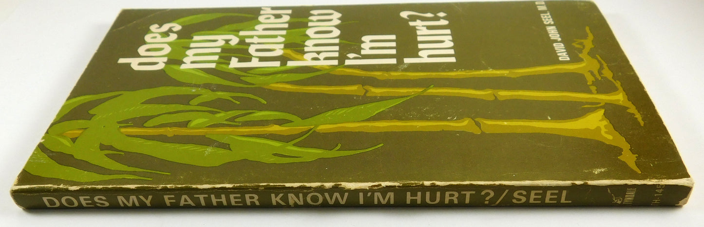 Does My Father Know I'm Hurt? by David John Seel