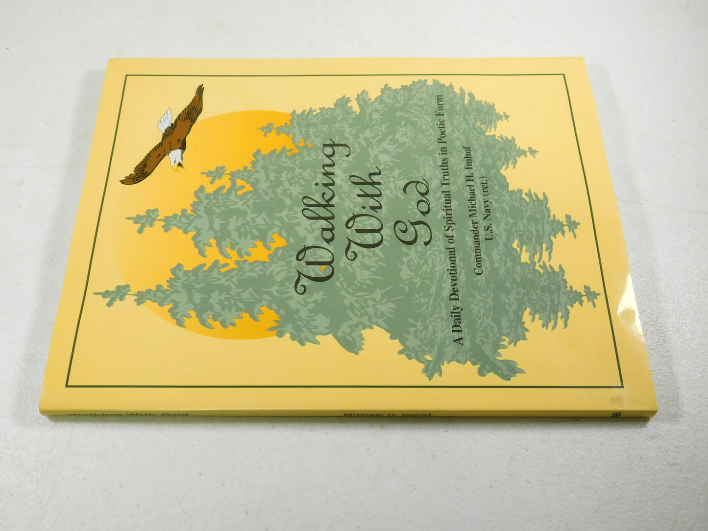 Walking With God: A Daily Devotional Of Spiritual Truths by Michael Imhof