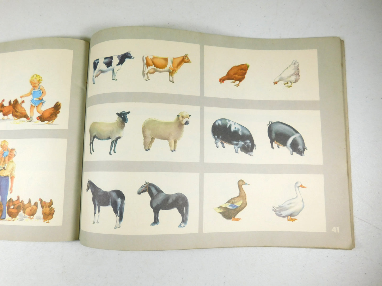Vintage The New Basic Readers Before We Read Book