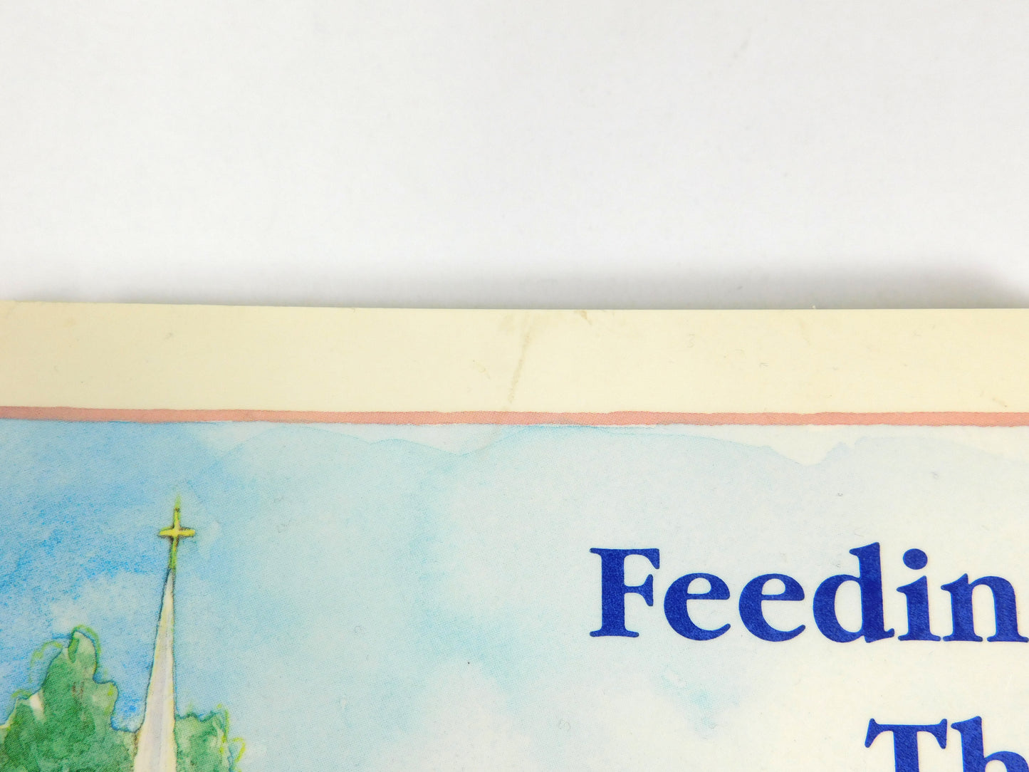 Vintage 1998 Feeding The Flock Galveston First Baptist Church Cook Book