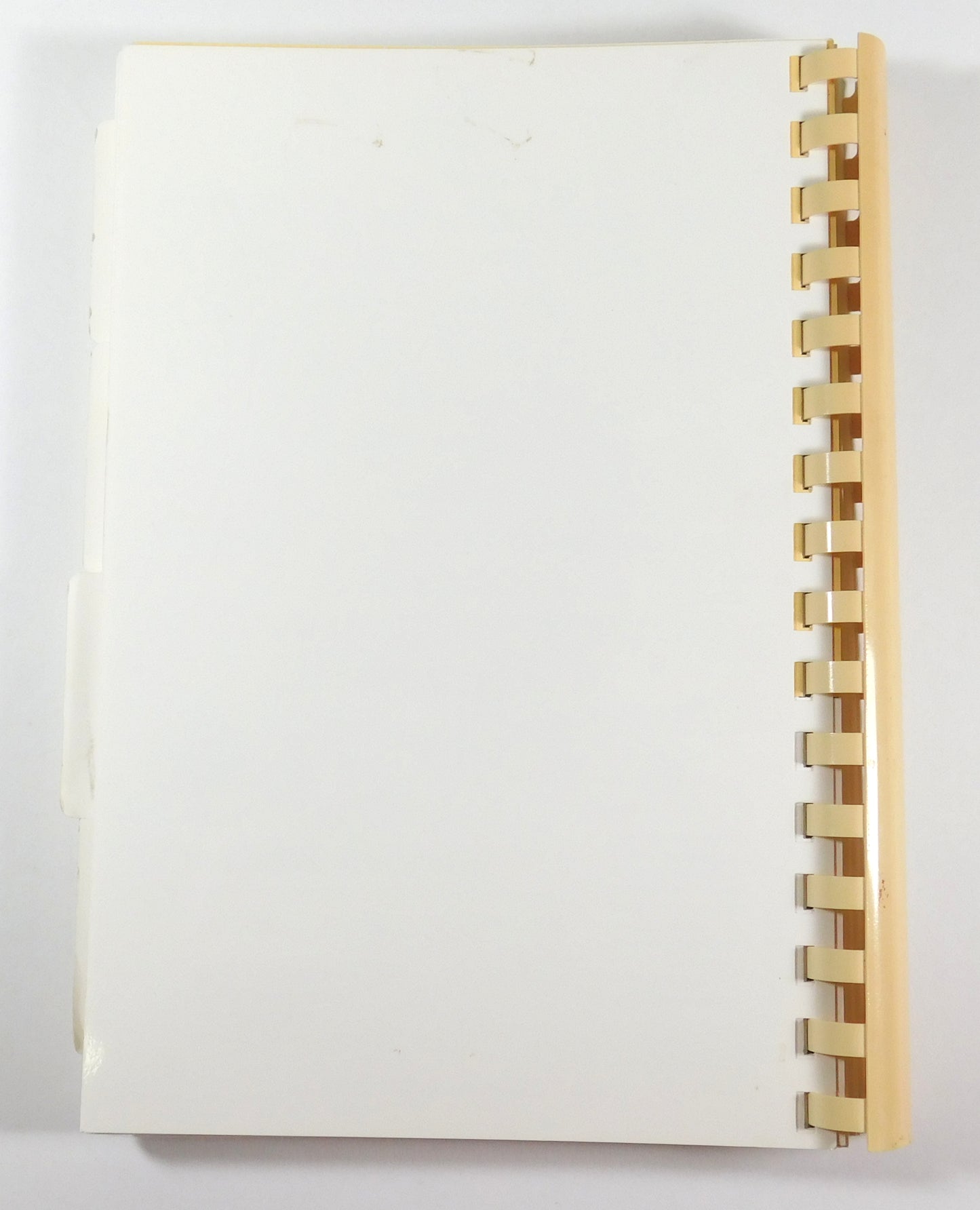 Vintage 1998 Feeding The Flock Galveston First Baptist Church Cook Book
