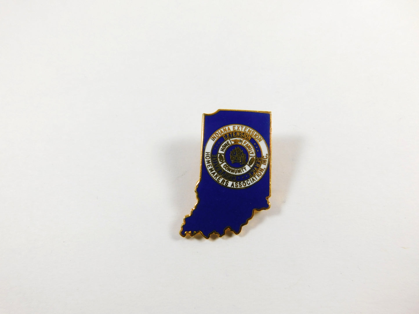 Vintage Indiana Extension Homemakers Association Blue And Gold Tone Lapel Pin