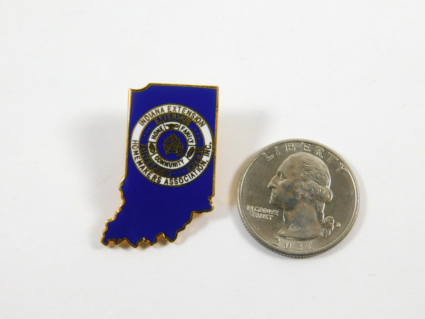 Vintage Indiana Extension Homemakers Association Blue And Gold Tone Lapel Pin