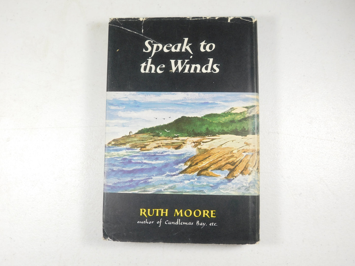 Speak To The Winds by Ruth Moore Vintage Hardcover 1956 Book Club Edition