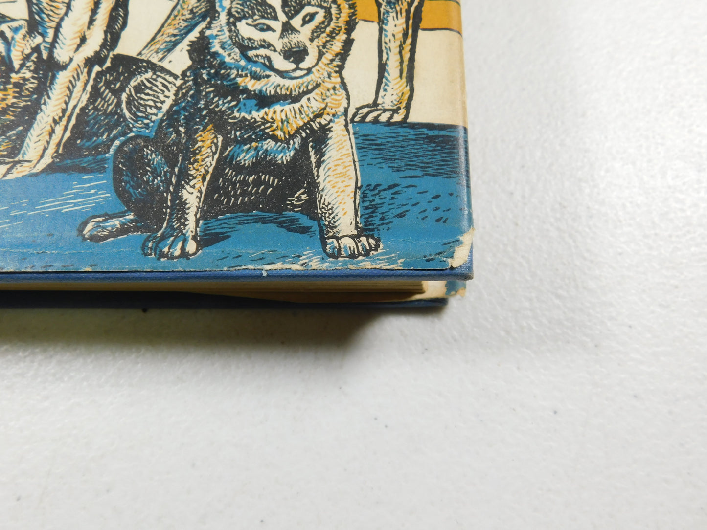 Vintage 1948 Snow Dog By Jim Kjelgaard Hardcover Book