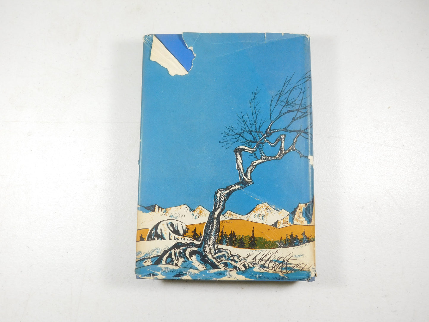 Vintage 1948 Snow Dog By Jim Kjelgaard Hardcover Book