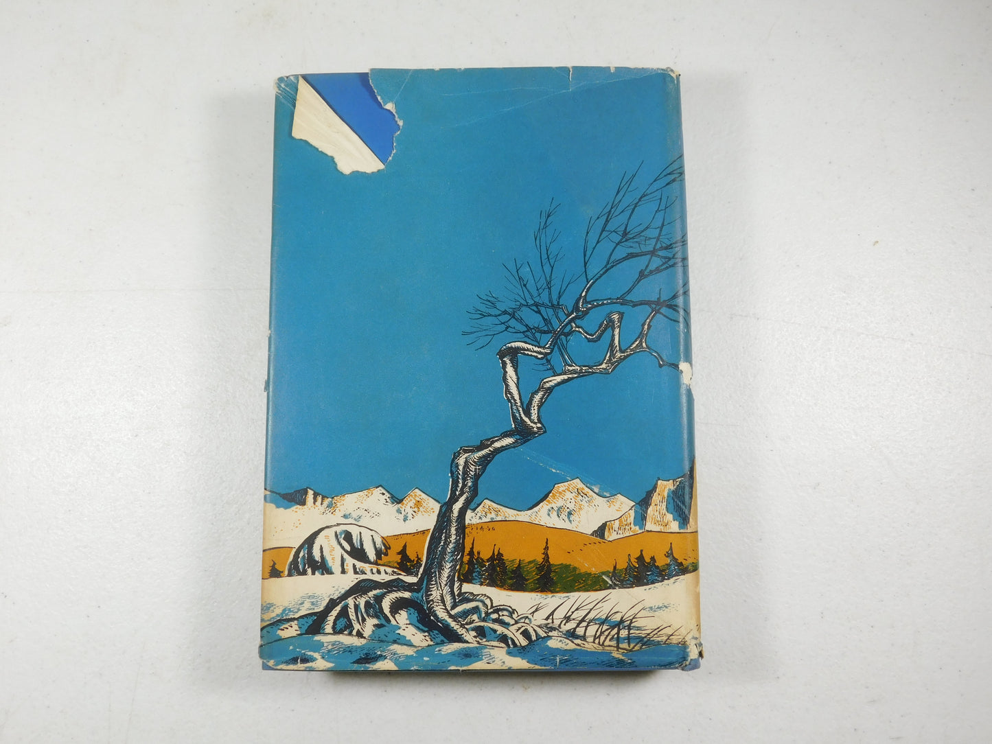 Vintage 1948 Snow Dog By Jim Kjelgaard Hardcover Book