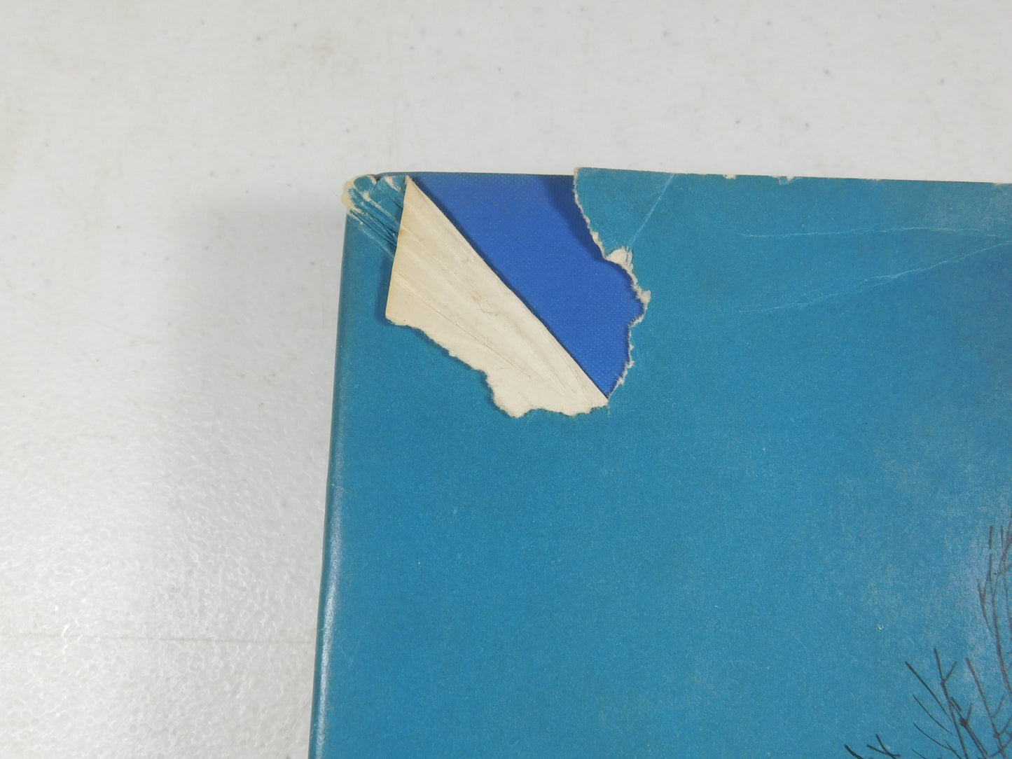 Vintage 1948 Snow Dog By Jim Kjelgaard Hardcover Book