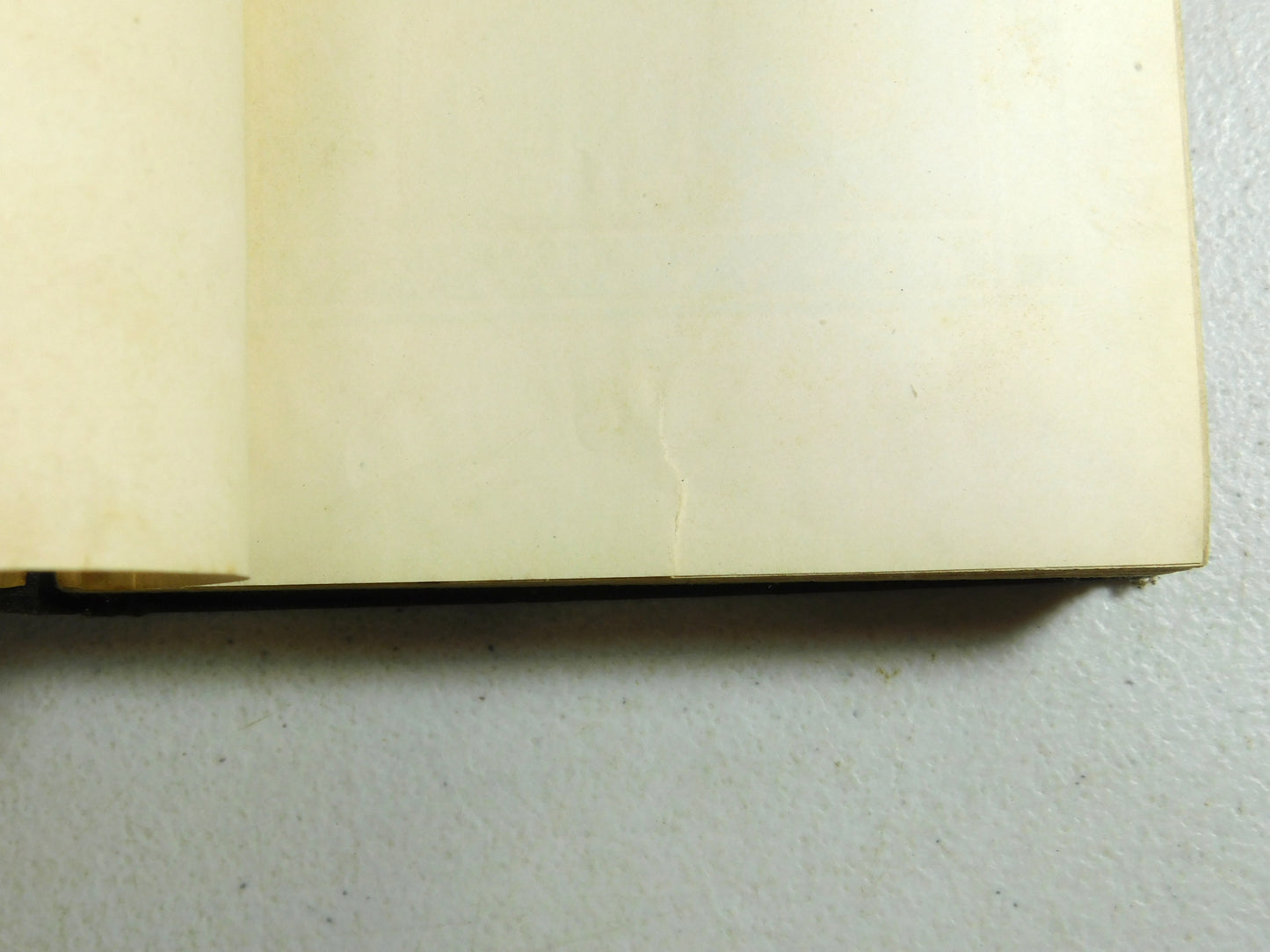 Vintage 1917 Red Ruth: The Birth of Universal Brotherhood by Anna Ratner Shapiro