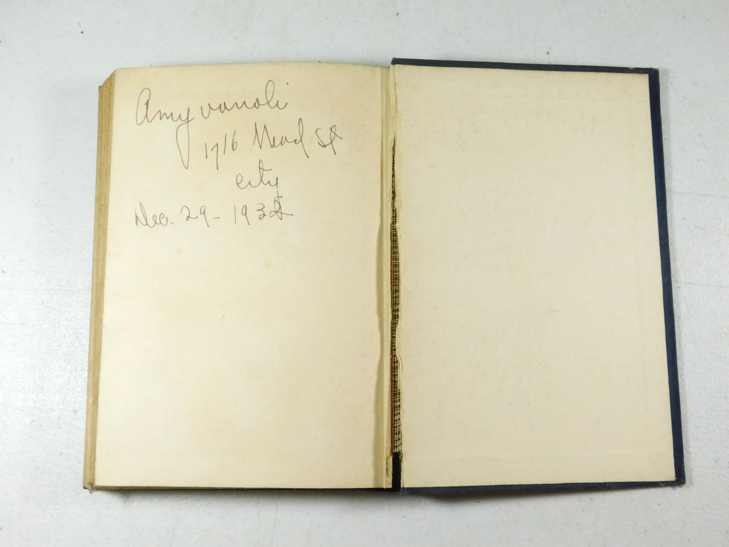 Vintage 1917 Red Ruth: The Birth of Universal Brotherhood by Anna Ratner Shapiro