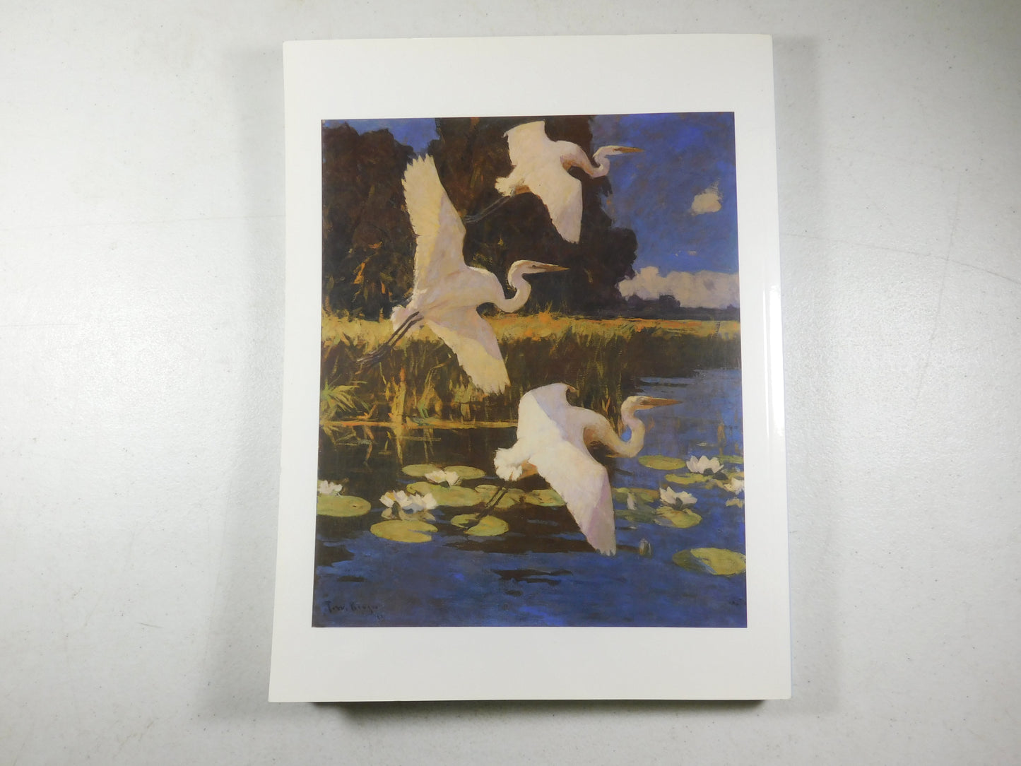Art of Frank W Benson American Impressionist Faith Andrews Coffee Table Book