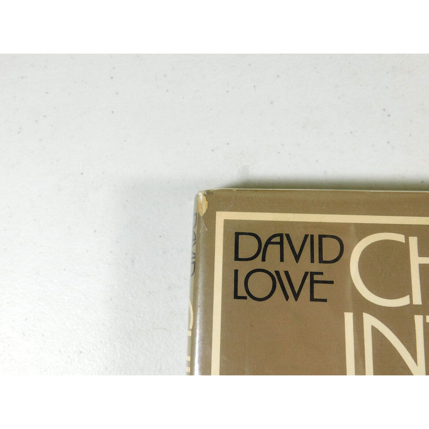 Chicago Interiors: Views of a Splendid World by David Lowe (1979, Hardcover)