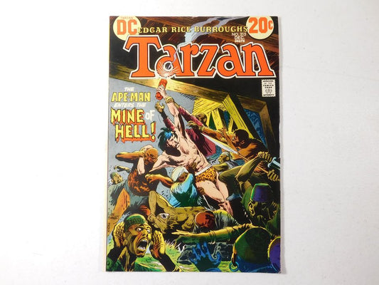 Vintage 1972 Tarzan The Apeman Enters The Mine of Hell! No. 215 Dec 30678 DC Comic Book