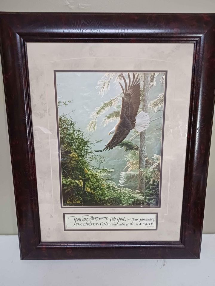 Carpentree Framed Print Soaring Eagle