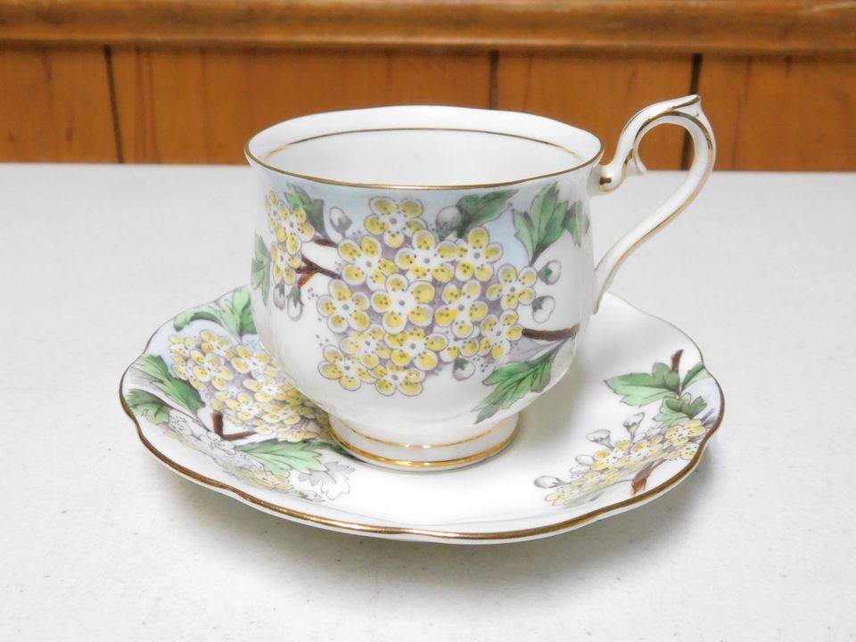 Royal Albert Bone China Flower of the Month Hawthorn Cup and Saucer