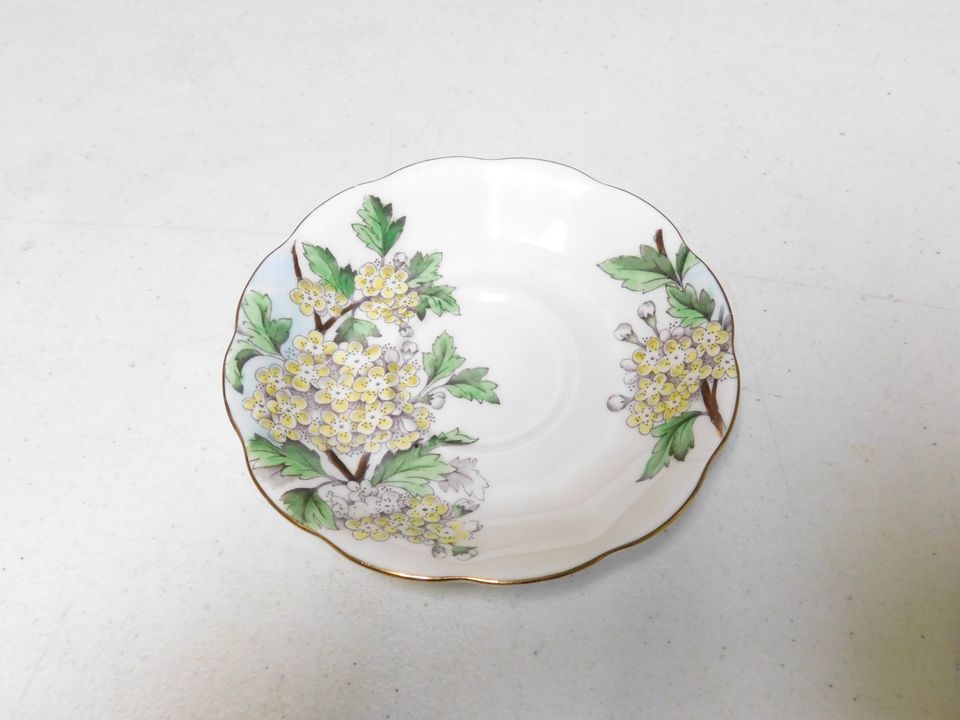 Royal Albert Bone China Flower of the Month Hawthorn Cup and Saucer