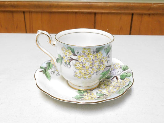 Royal Albert Bone China Flower of the Month Hawthorn Cup and Saucer