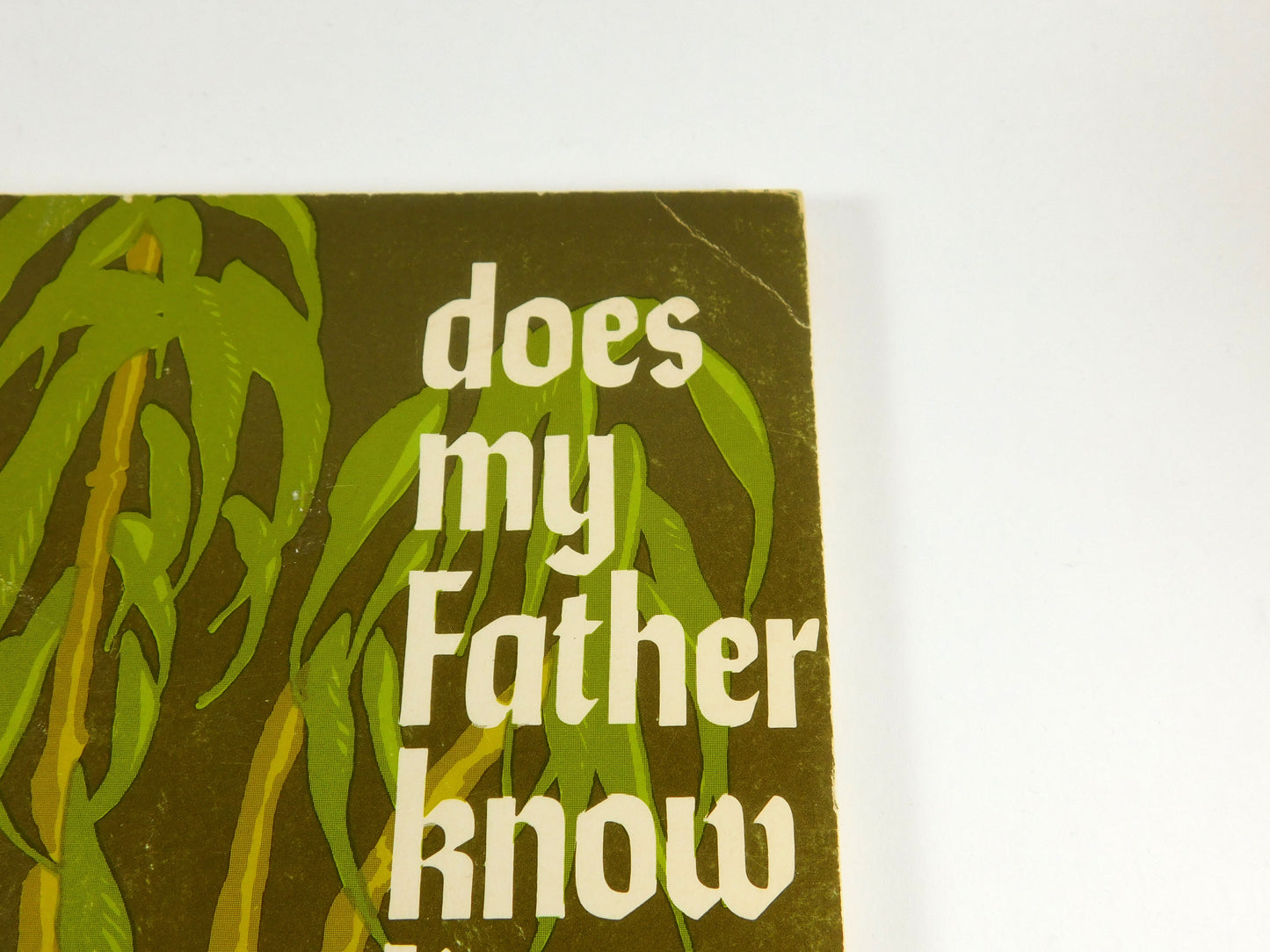 Does My Father Know I'm Hurt? by David John Seel