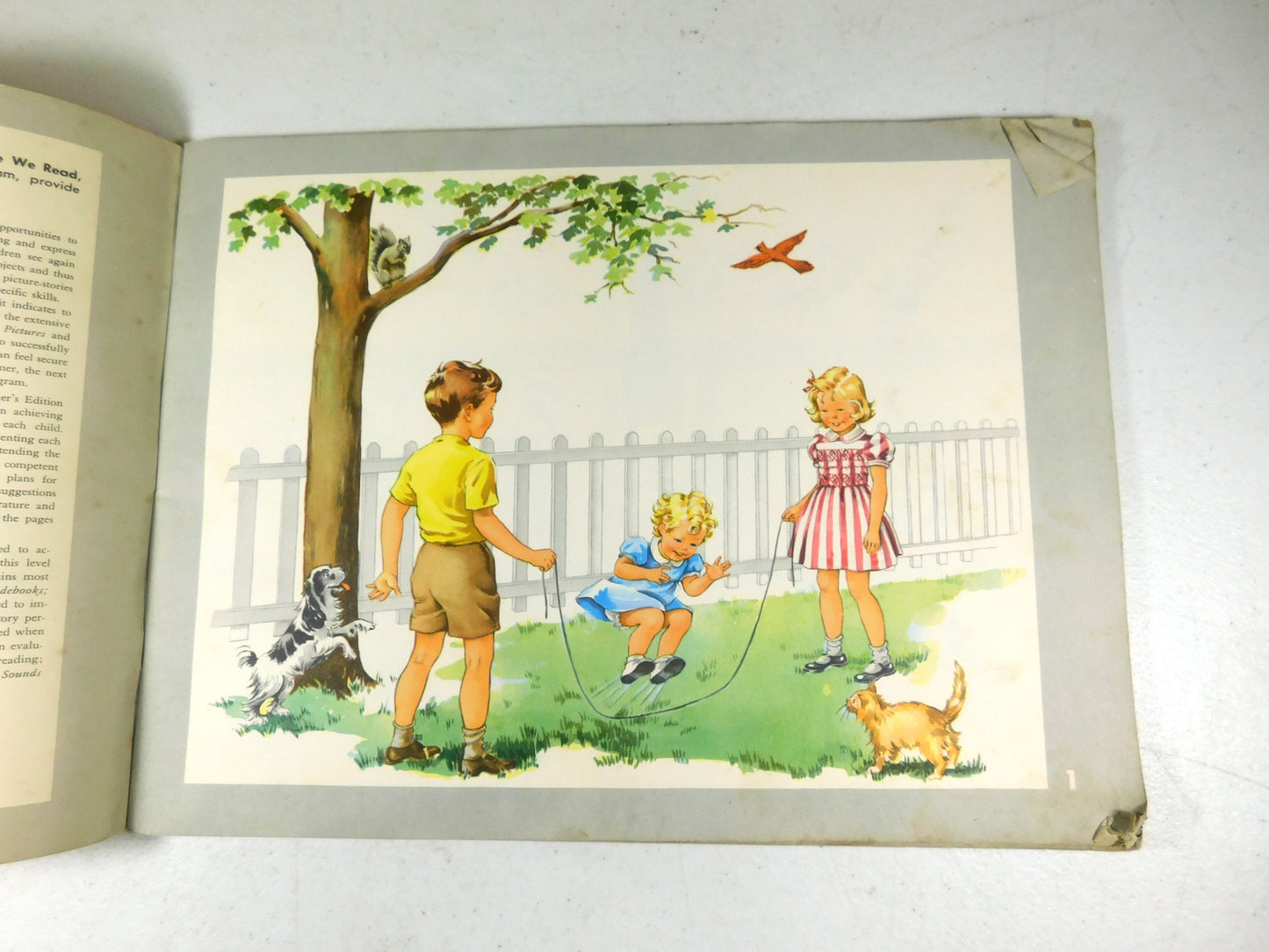 Vintage The New Basic Readers Before We Read Book
