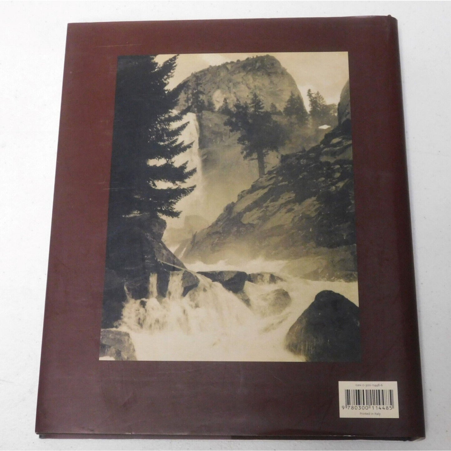 The Modern West : American Landscapes, 1890-1950 by Emily Ballew Neff (2006)